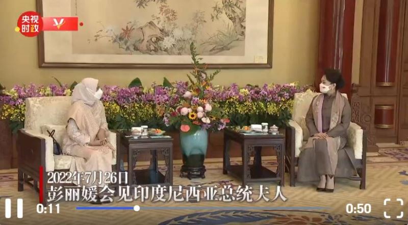 彭丽媛会见印尼总统夫人伊莉亚娜