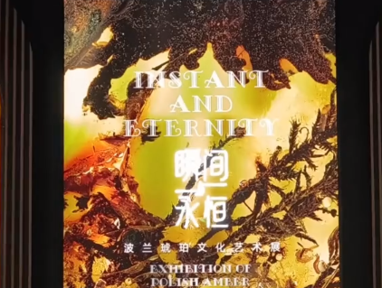 “瞬间与永恒——波兰琥珀文化艺术展”近日在天津博物馆开展