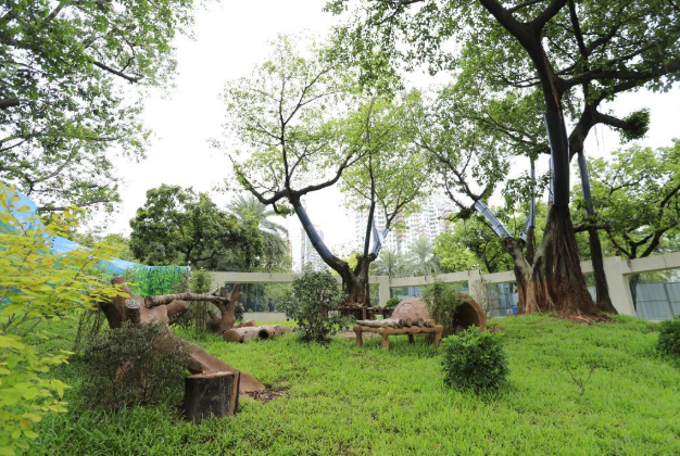 解锁“5蚊”一只大熊猫！广州动物园新大熊猫馆正式开放