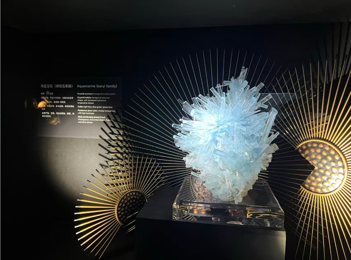 「2025世界華文媒體社長總編輯深圳行」走進深圳珠寶博物館  感受物華天寶帶來的藝術魅力