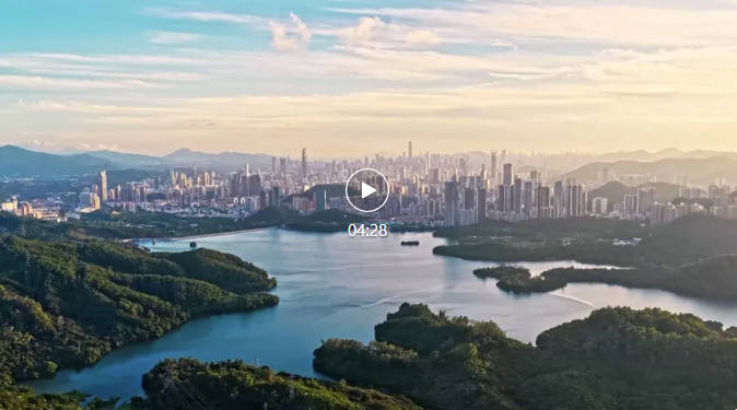 独家视频 | 习近平：期待各方明年共赴深圳之约