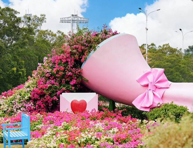 Capturing Guangzhou's autumn–winter blossoms