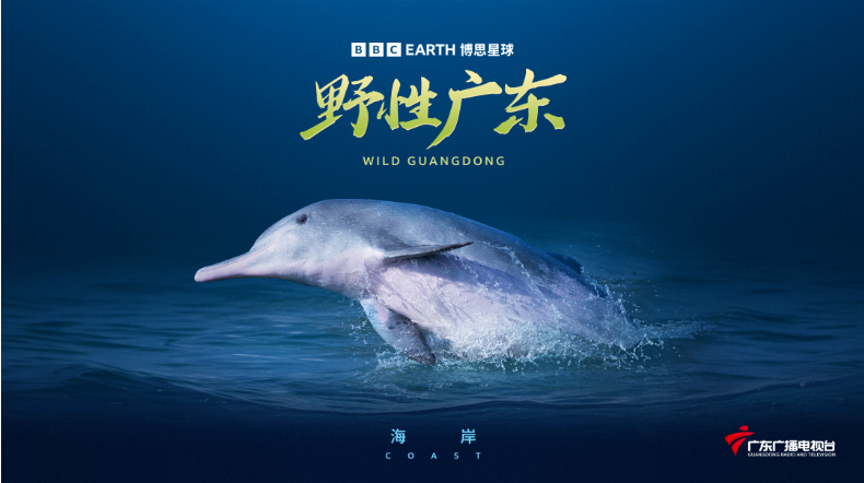 原来广东这么“野”