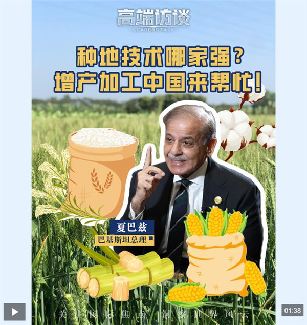 高端访谈丨巴基斯坦学员来华学了啥?夏巴兹总理揭秘